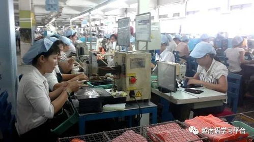 越南鞋業寒冬 老牌企業裁員近3000人，折射社會經濟深層挑戰