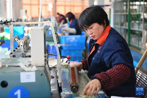 浙江嵊州 以專業咨詢服務為引擎，高質量推進工業經濟發展
